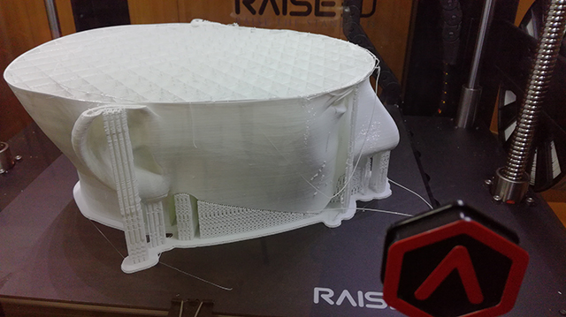 3D-принтер Raise3D в Новой Черноголовской школе_3.JPG