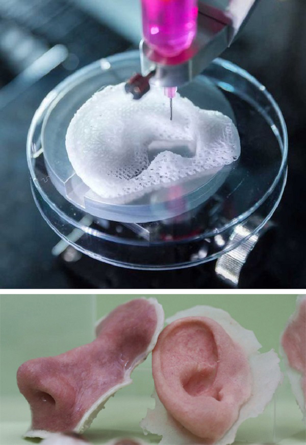 3D-биопринтинг 3D-биопринтинг