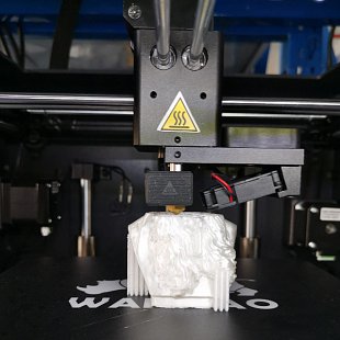 3D принтер Wanhao GR2 (в закрытом корпусе)