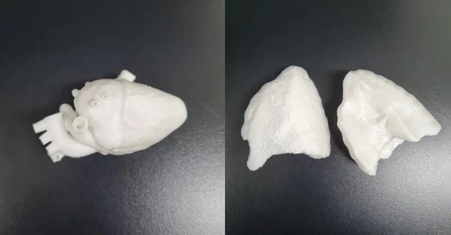 Raise3D и лучевая терапия 3.jpg